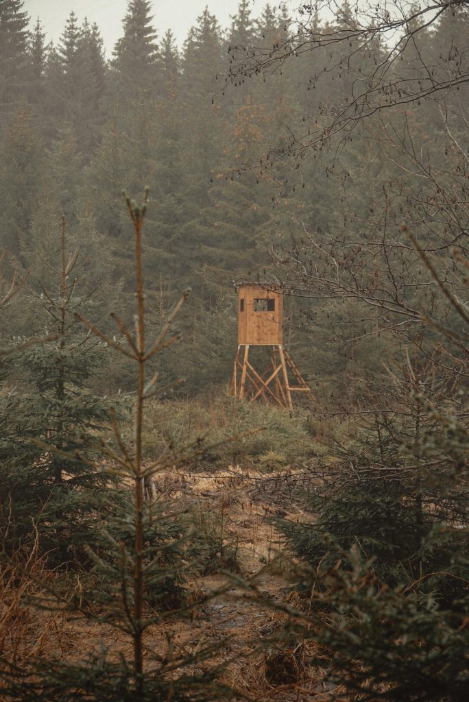 A solitary hunting tower amidst a foggy, dense forest in Germany, evoking a serene natural setting.